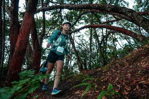 BIB: 
                            <button type="button" onclick="openModal(26346221)" class="btn btn-primary btn-sm float-right btn-popup" data-toggle="modal" data-target=".modal-high-quality">
                        <i class="fas fa-shopping-cart"></i> Add to Cart
                    </button>
                                            <button type="button" onclick="isThisMe(26346221, true)" class="btn btn-success btn-sm float-right btn-popup btn-isme hidden" data-toggle="tooltip" data-placement="bottom" title="นี่คือรูปของคุณใช่ไหม คลิกที่นี่เพื่อเอาเข้าอัลบั้ม">
                        <i class="fas fa-plus"></i> Add to album
                    </button>
                    <button type="button" onclick="isThisMe(26346221, false)" class="btn btn-warning btn-sm float-right btn-popup btn-isnotme hidden">
                        <i class="fas fa-ban"></i> Remove from album
                    </button>